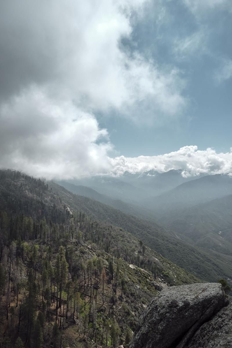 Sequoia and Kings Canyon National Parks