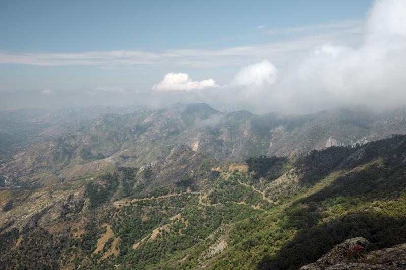 Sequoia and Kings Canyon National Parks