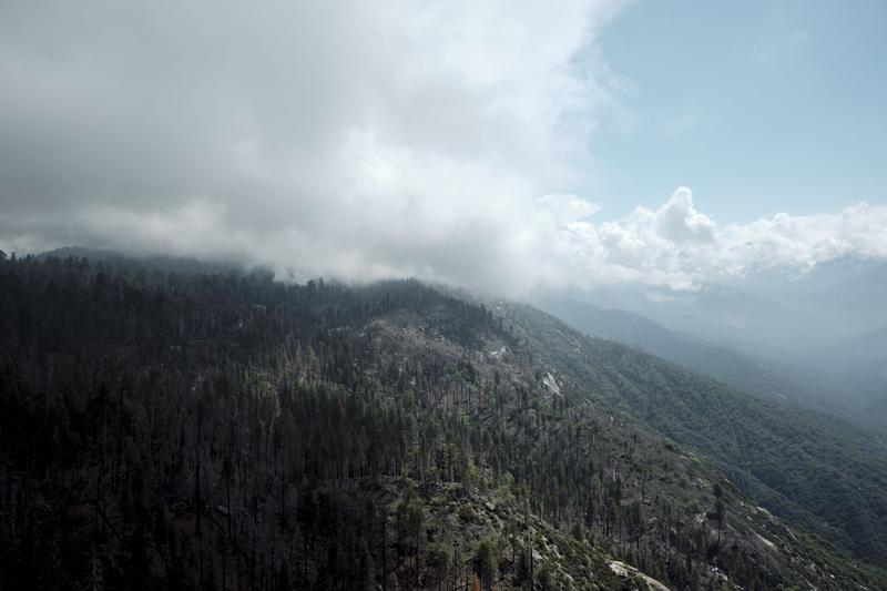 Sequoia and Kings Canyon National Parks