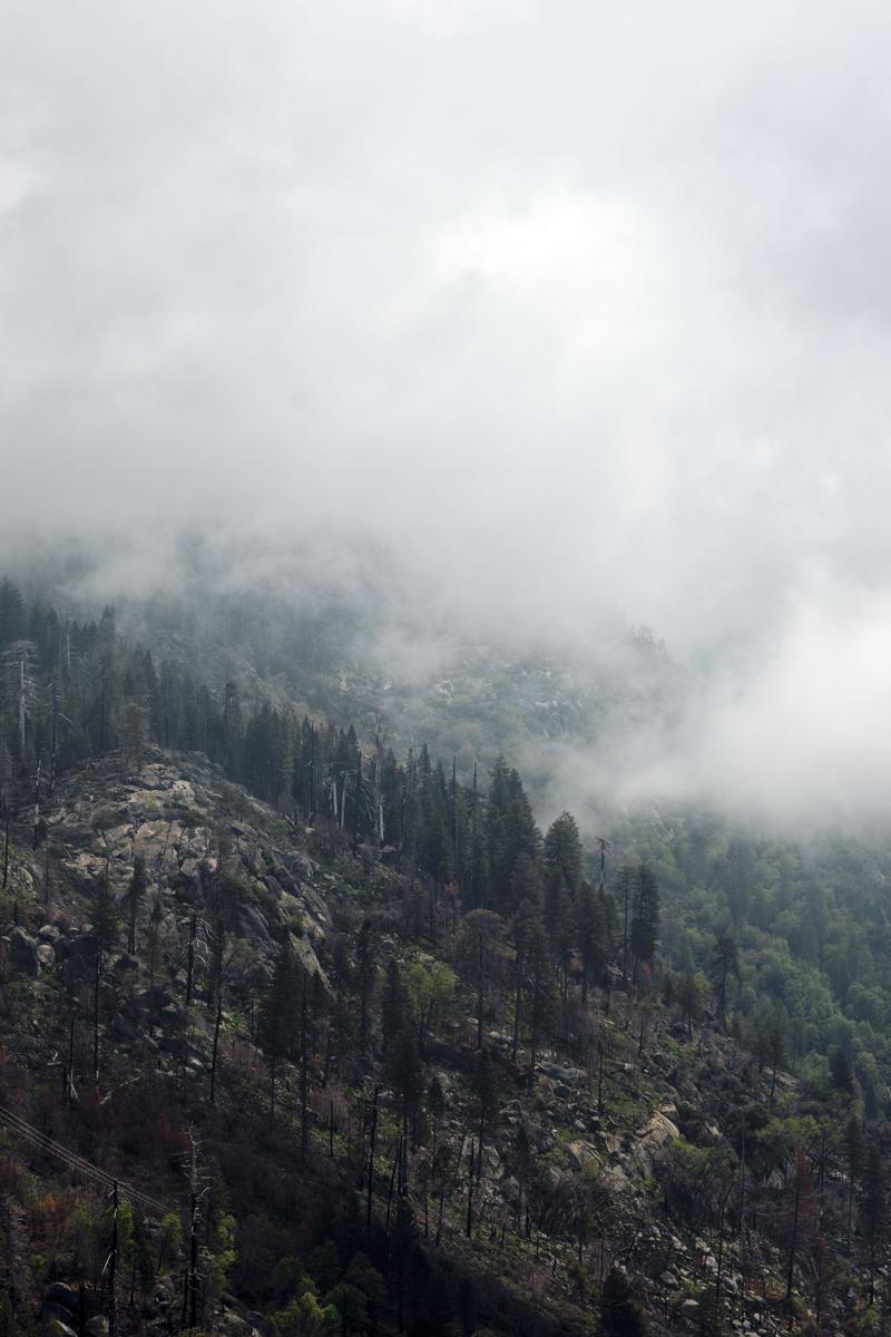 Sequoia and Kings Canyon National Parks