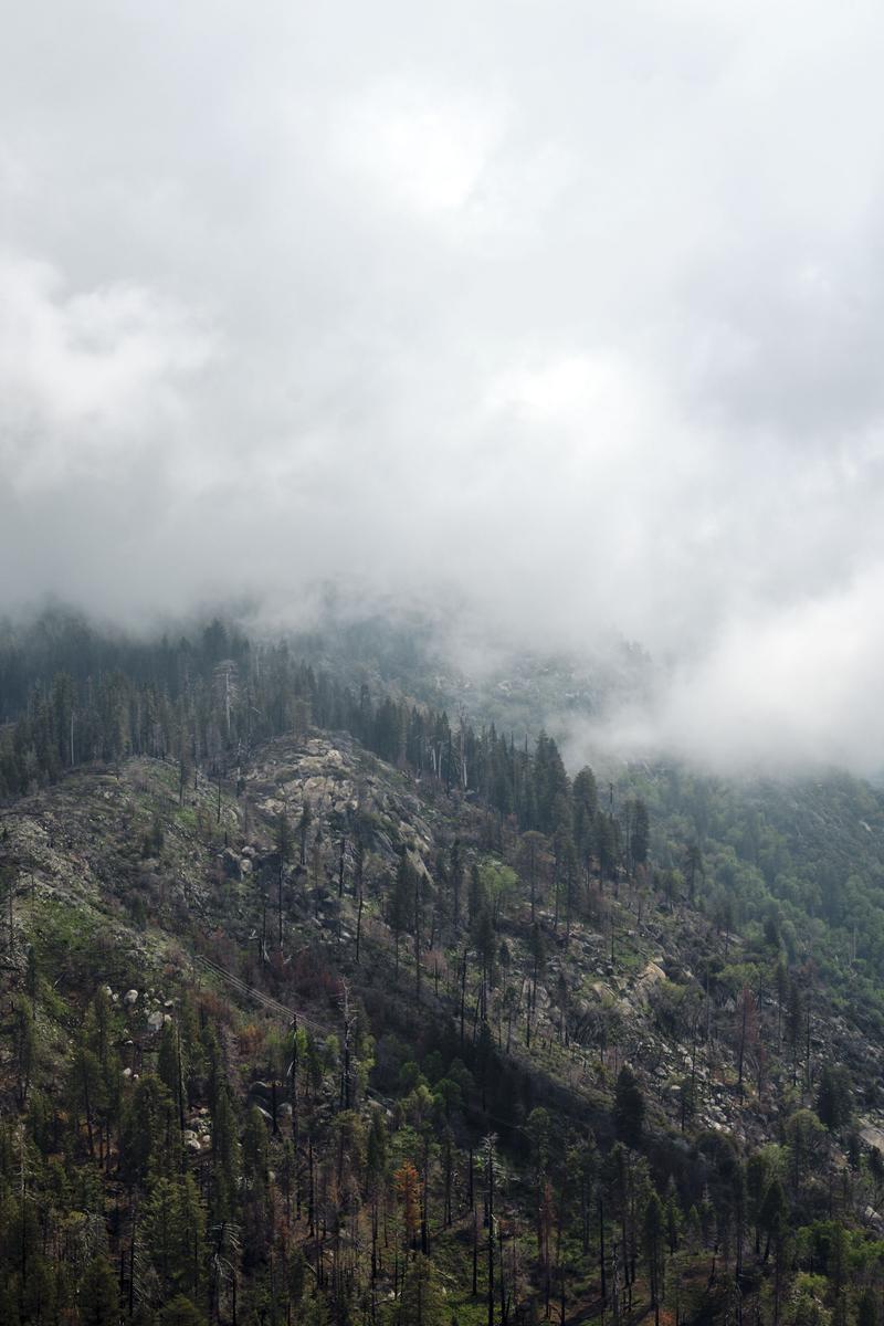 Sequoia and Kings Canyon National Parks