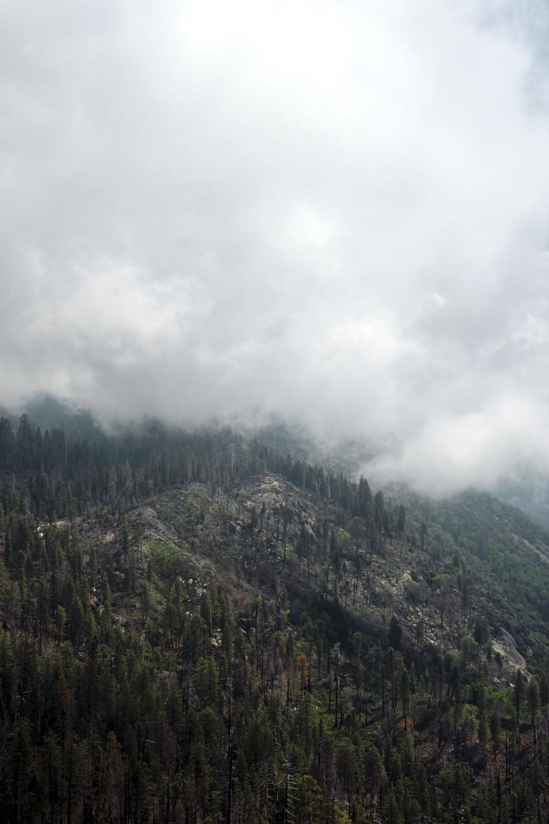 Sequoia and Kings Canyon National Parks