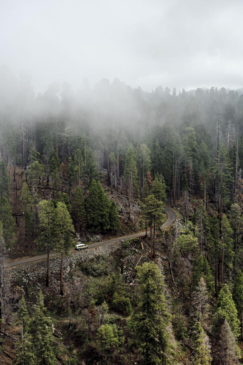 Sequoia and Kings Canyon National Parks