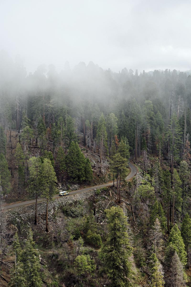 Sequoia and Kings Canyon National Parks