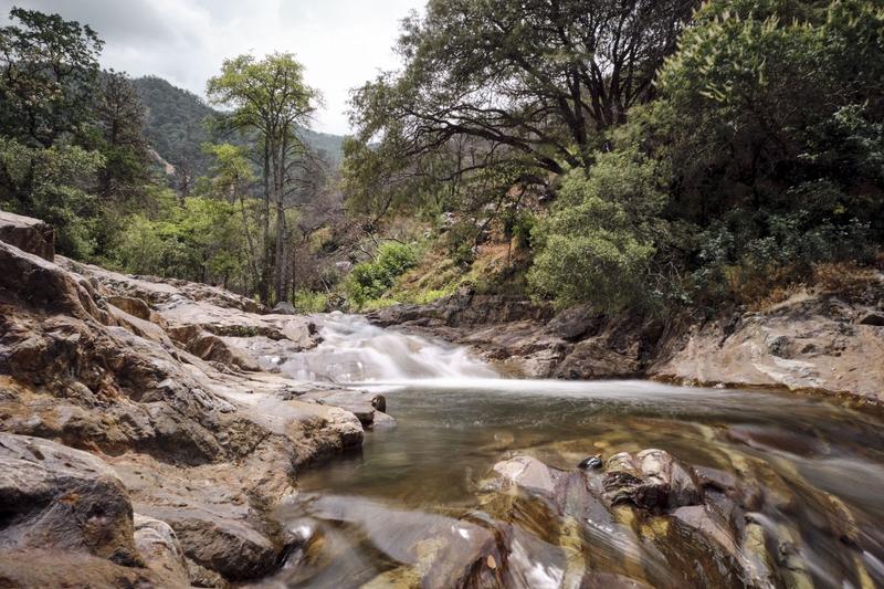 Sequoia and Kings Canyon National Parks