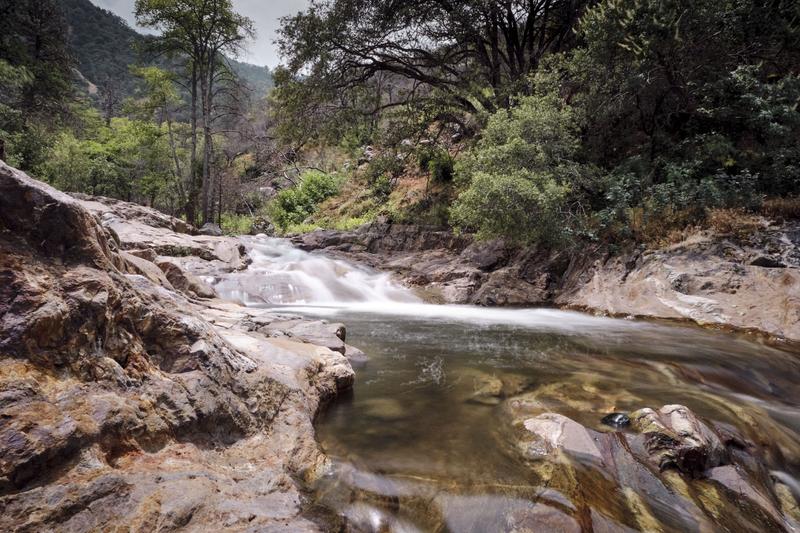 Sequoia and Kings Canyon National Parks