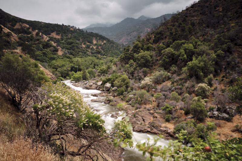 Sequoia and Kings Canyon National Parks