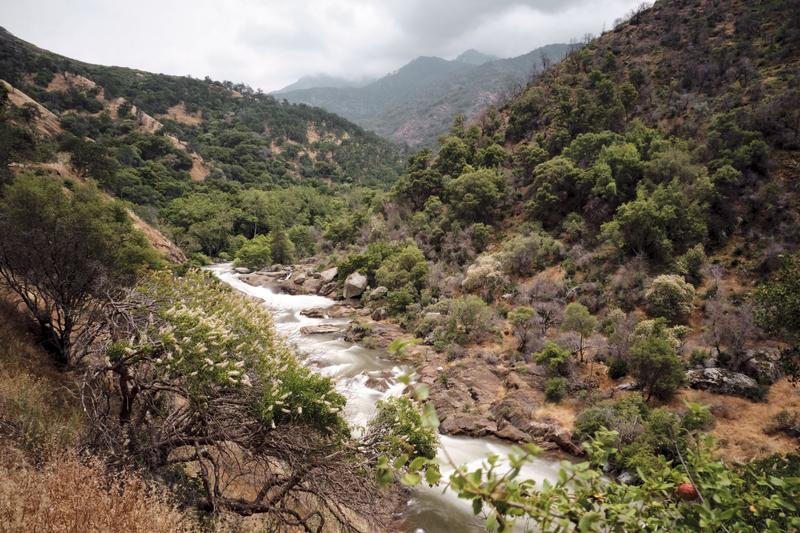 Sequoia and Kings Canyon National Parks