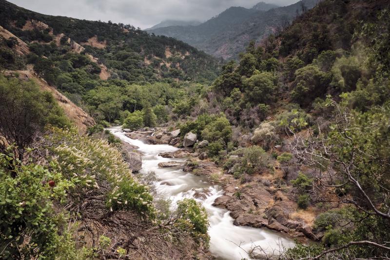 Sequoia and Kings Canyon National Parks