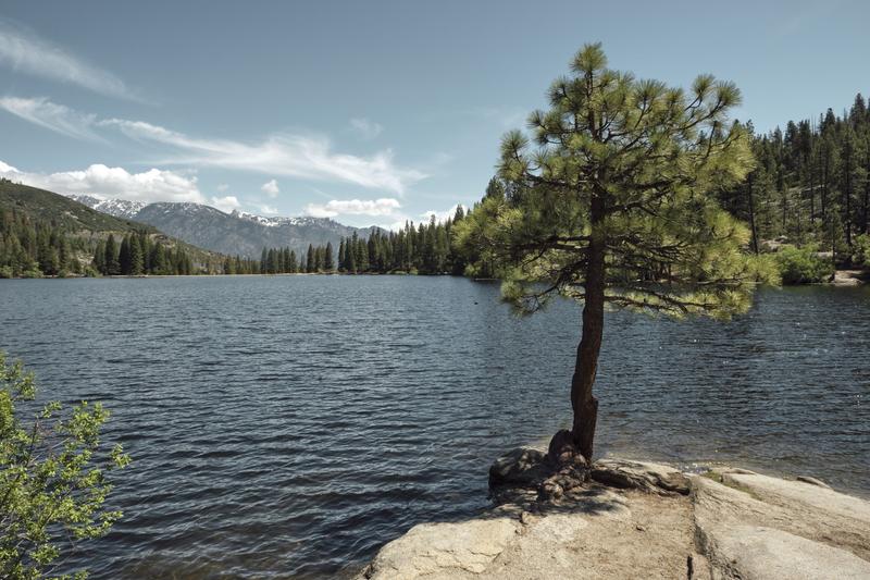 Sequoia and Kings Canyon National Parks