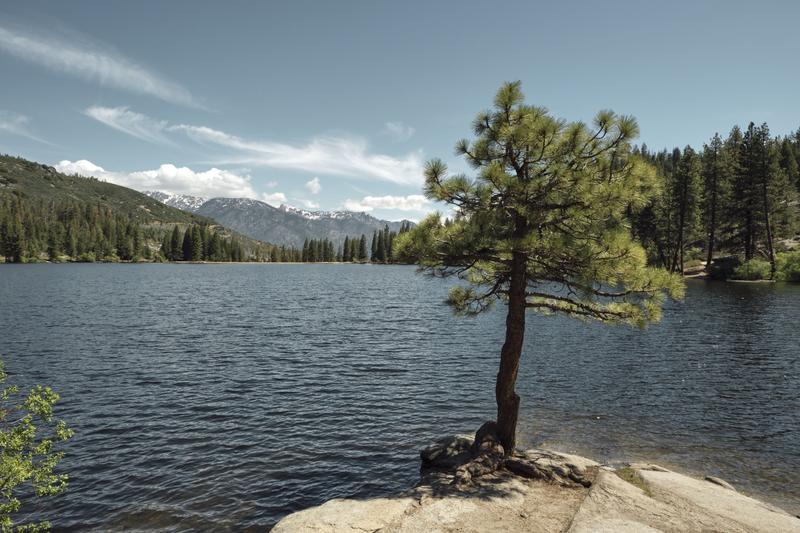 Sequoia and Kings Canyon National Parks