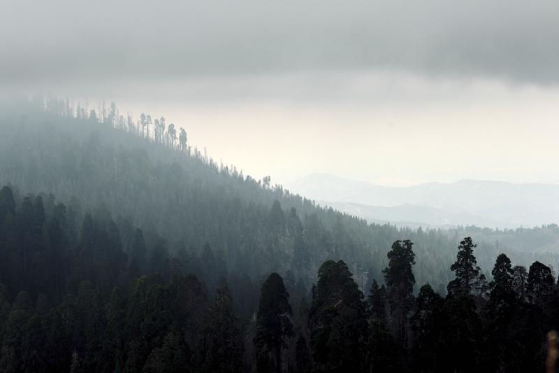 Sequoia and Kings Canyon National Parks