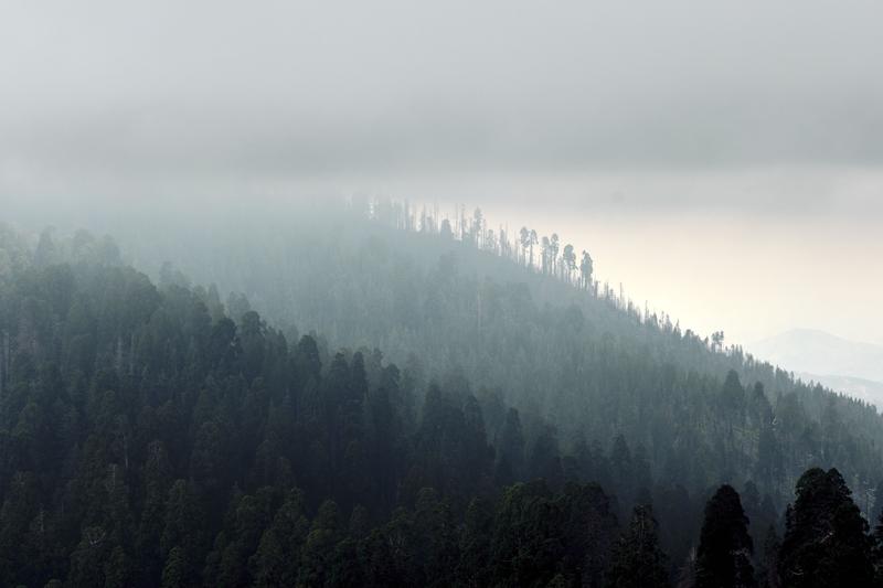 Sequoia and Kings Canyon National Parks