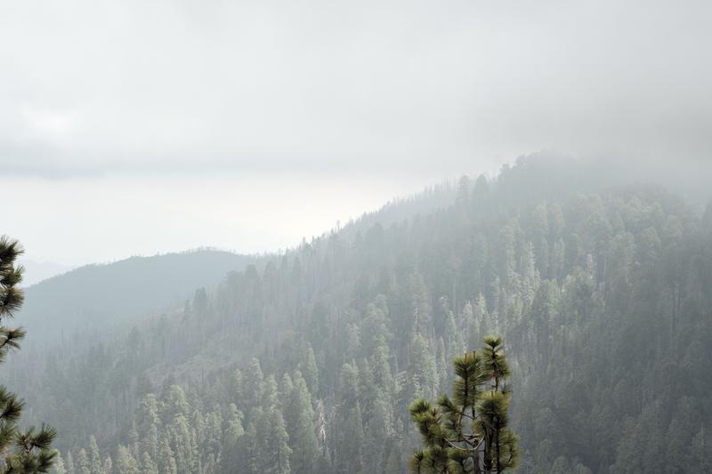 Sequoia and Kings Canyon National Parks