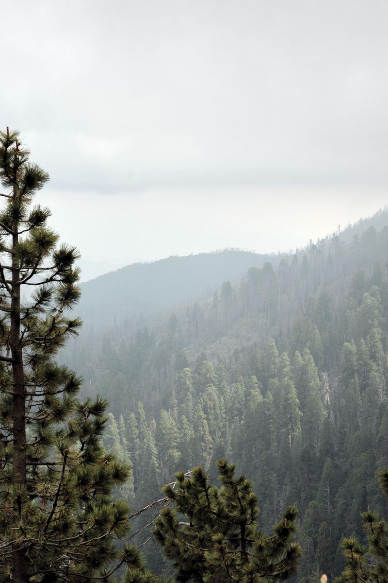 Sequoia and Kings Canyon National Parks