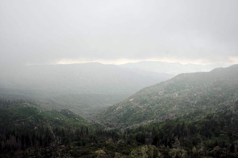 Sequoia and Kings Canyon National Parks