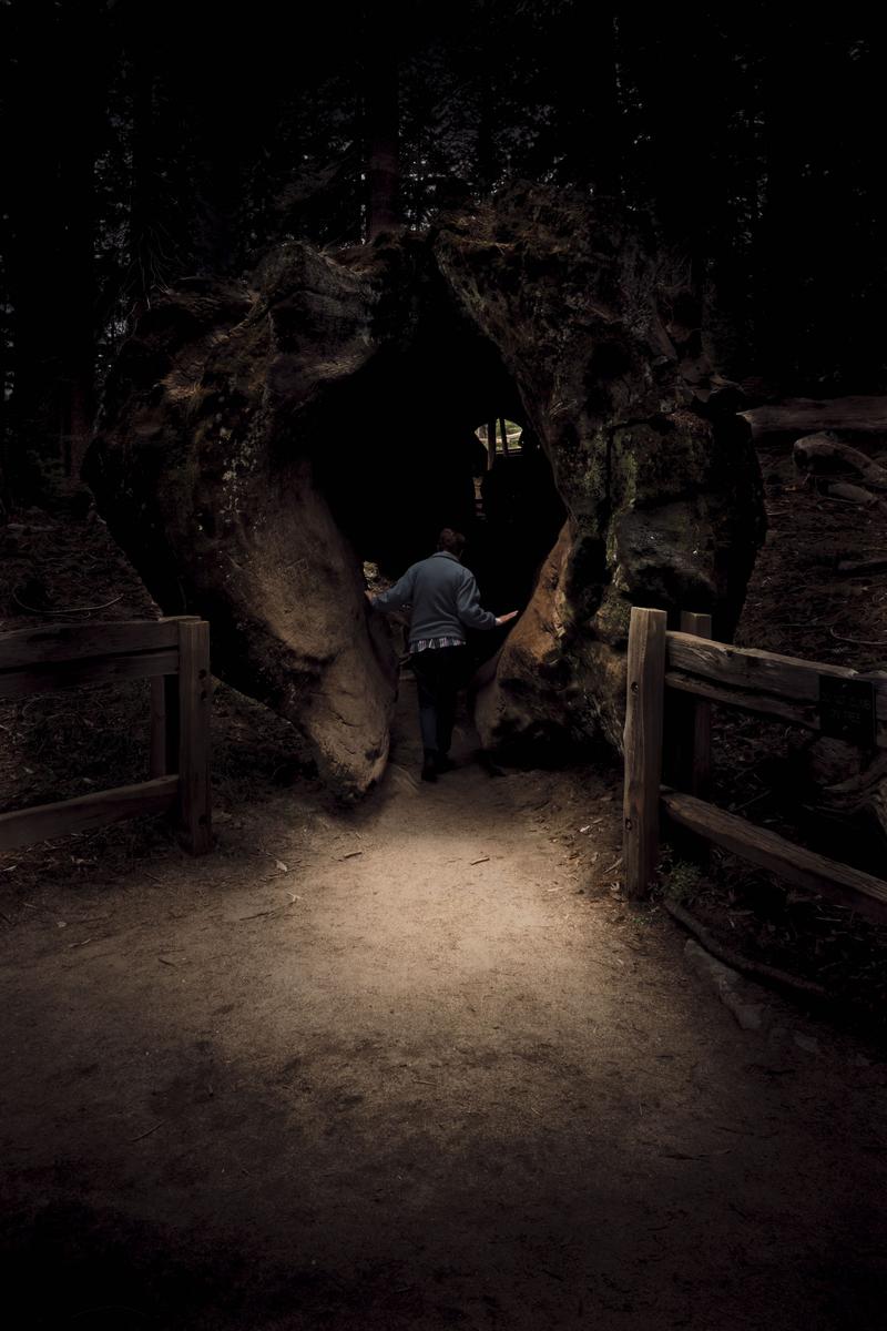 Sequoia and Kings Canyon National Parks