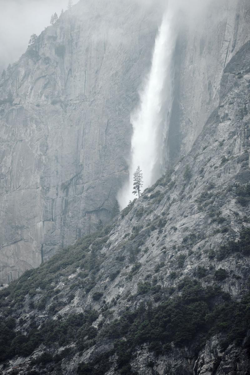 Yosemite National Park