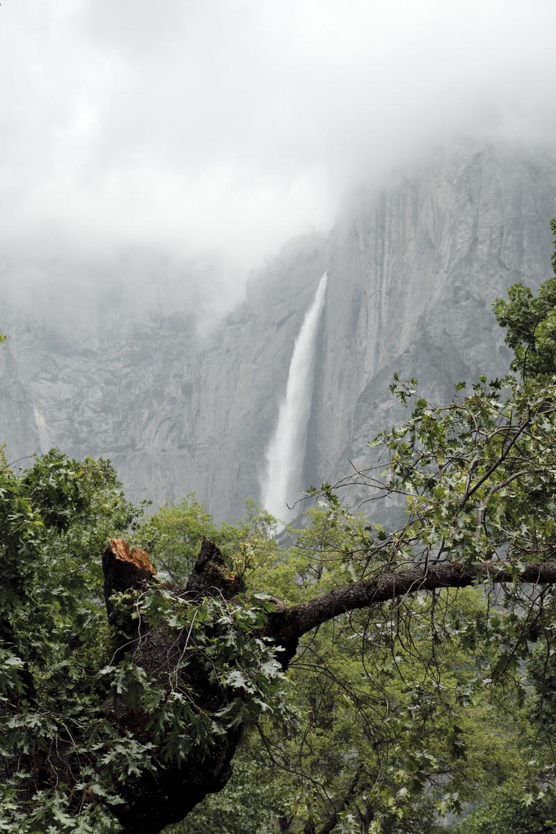 Yosemite National Park