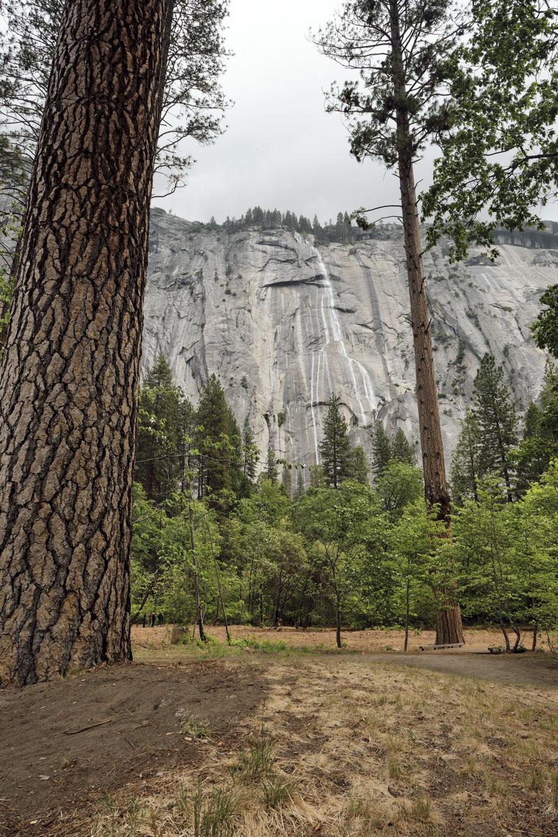 Yosemite National Park