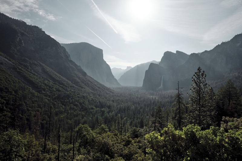 Yosemite National Park