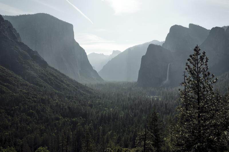 Yosemite National Park