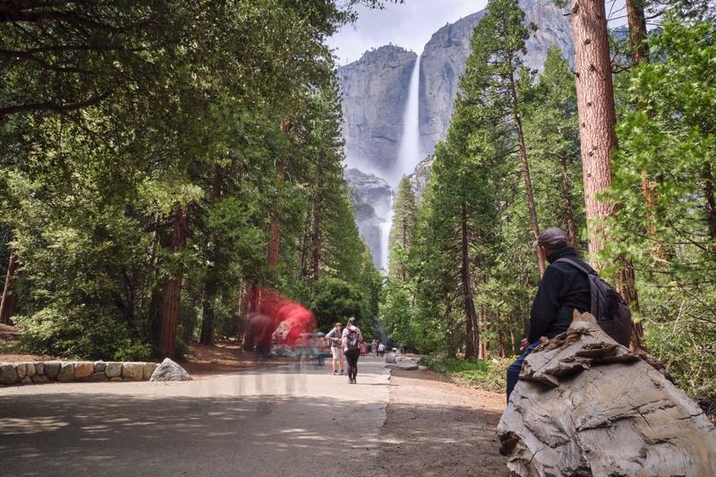 Yosemite National Park