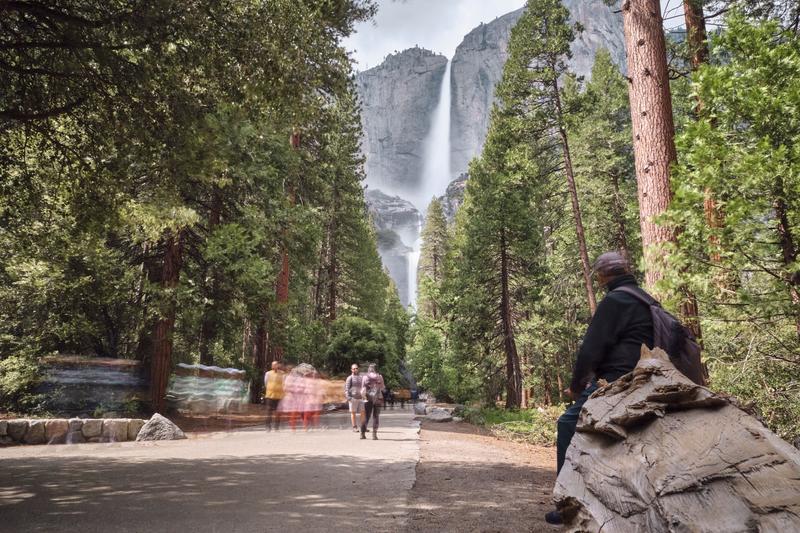 Yosemite National Park