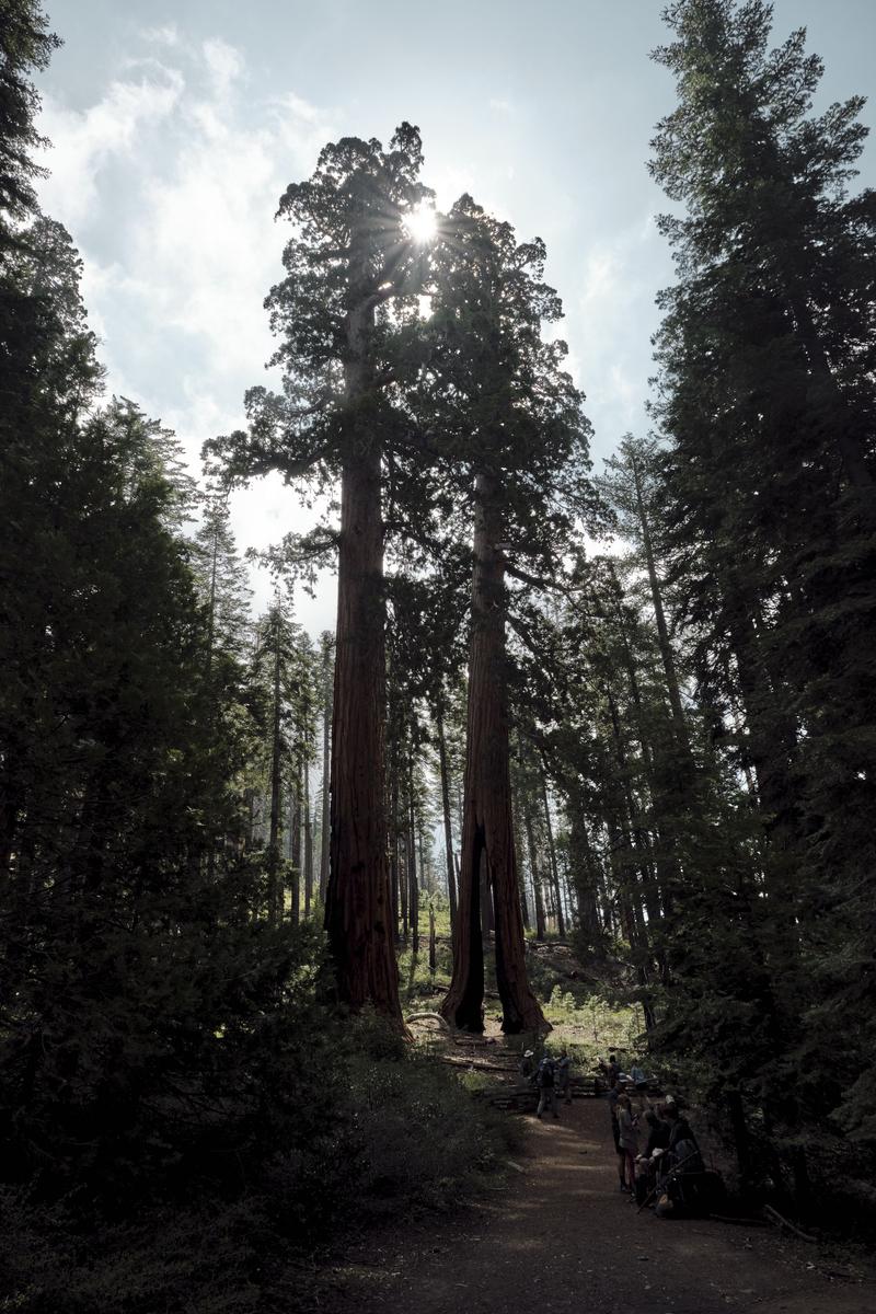 Yosemite National Park