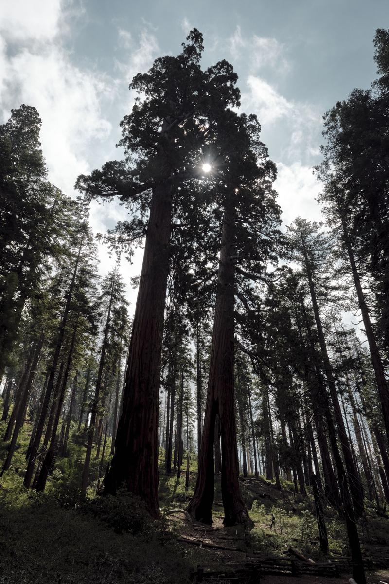 Yosemite National Park