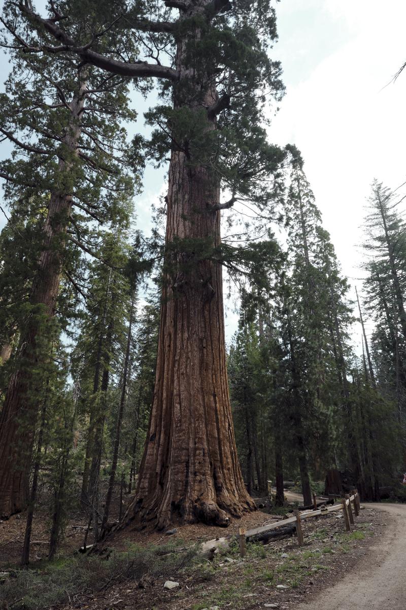 Yosemite National Park