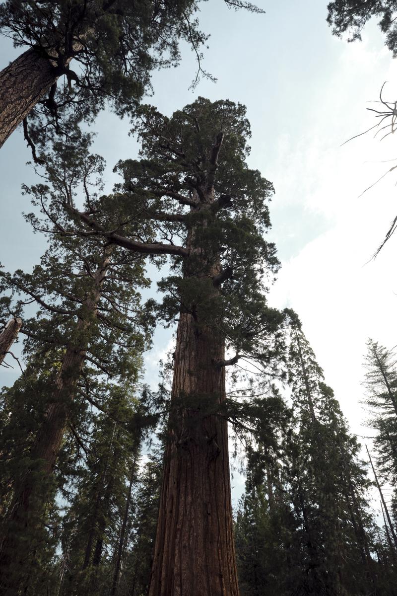 Yosemite National Park