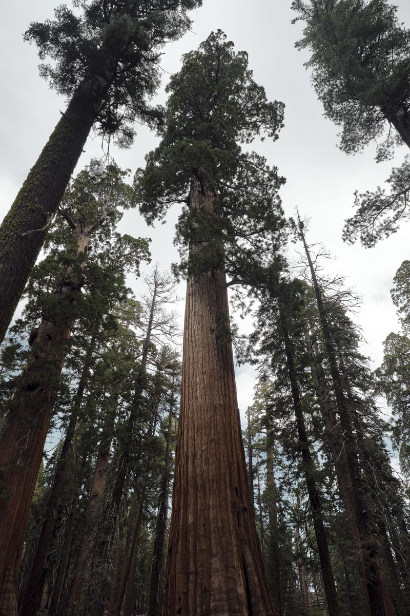 Yosemite National Park