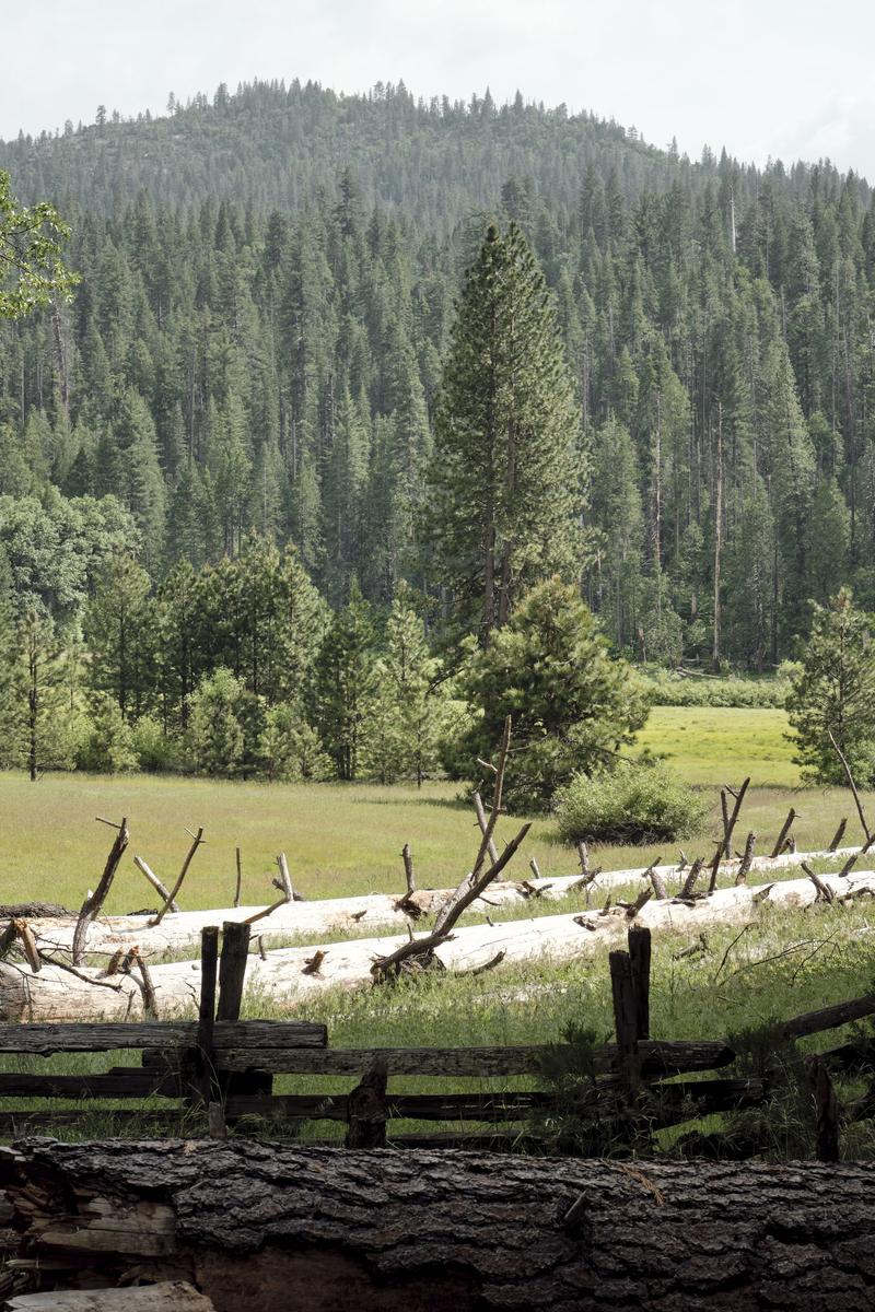 Yosemite National Park