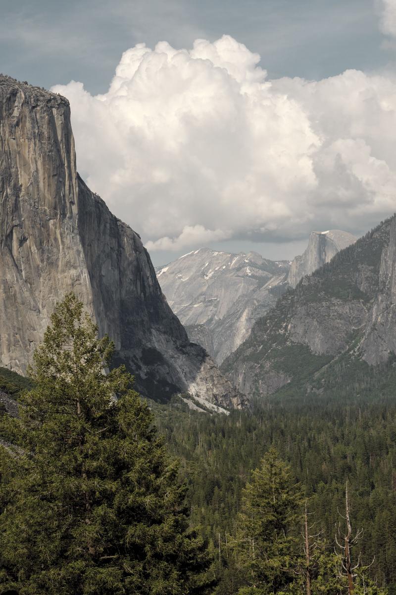 Yosemite National Park