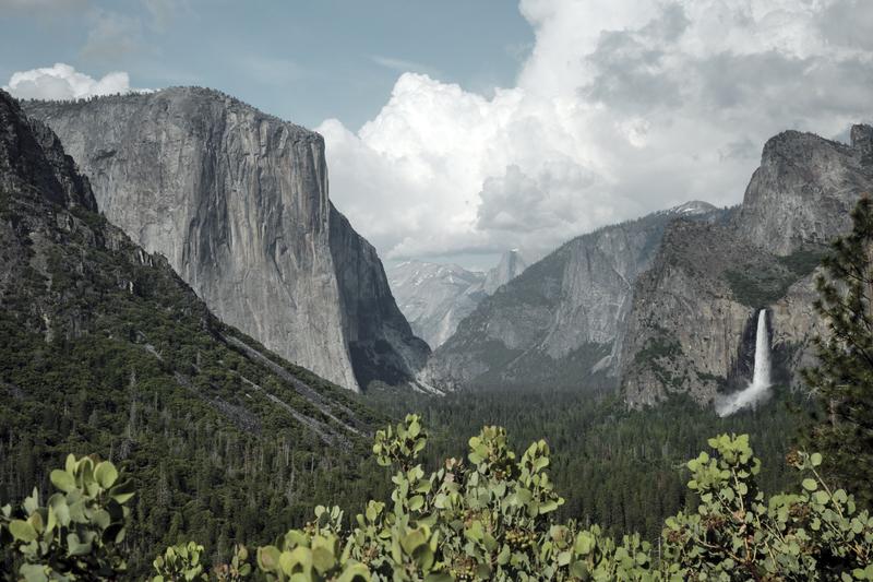 Yosemite National Park