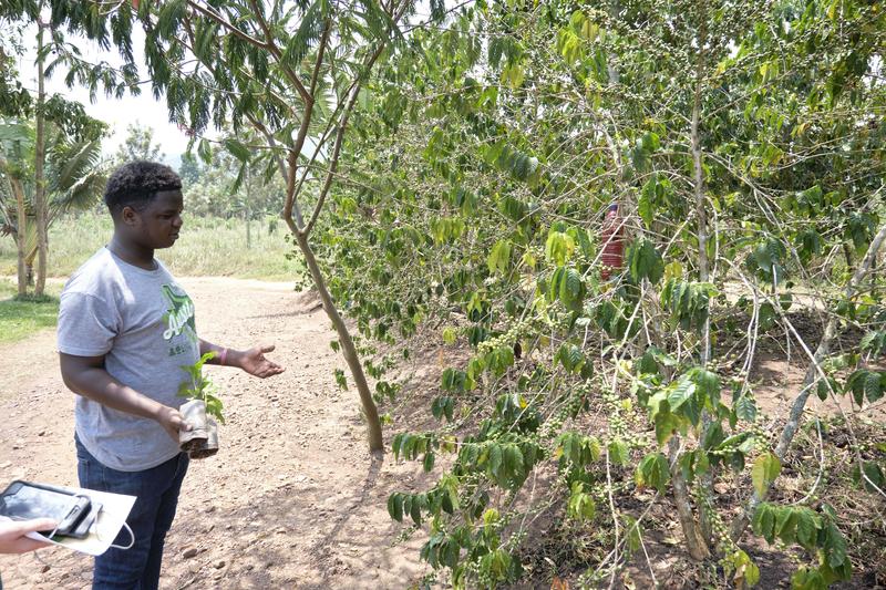 Coffee farmer, Akagera Coffee, Rwanda