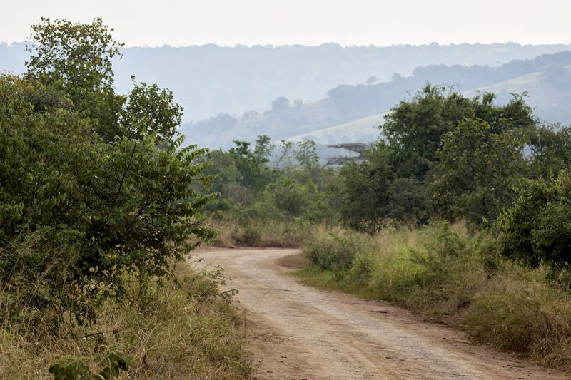 On the road, Akagera National Park, Rwanda