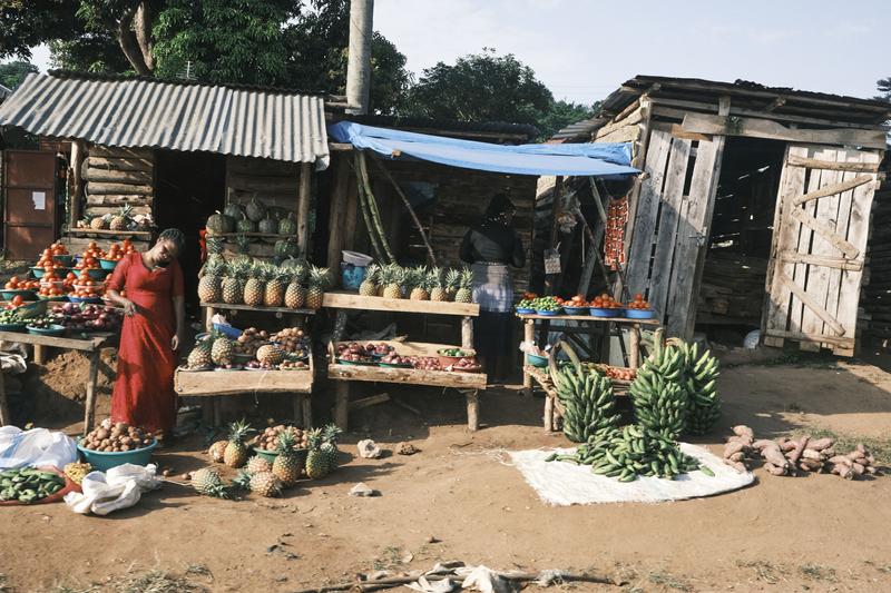 Fruit stand, Entebbe, Uganda