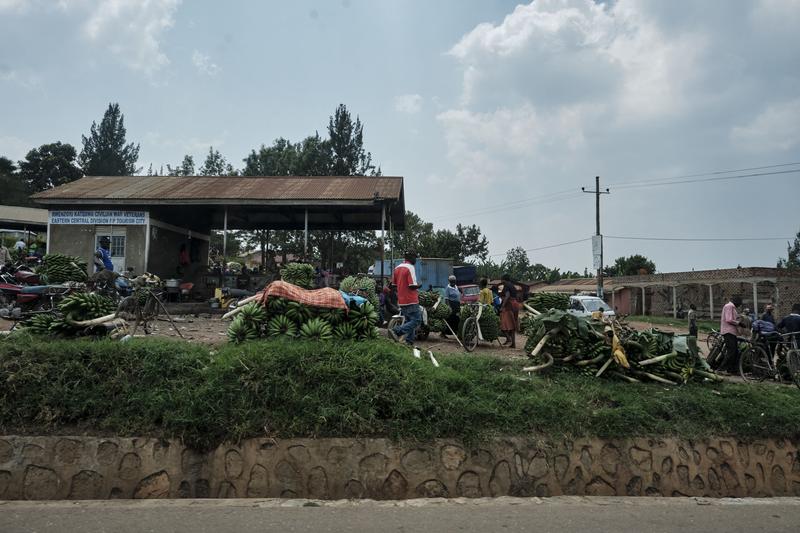 Fruit and vegetable market, Entebbe, Uganda