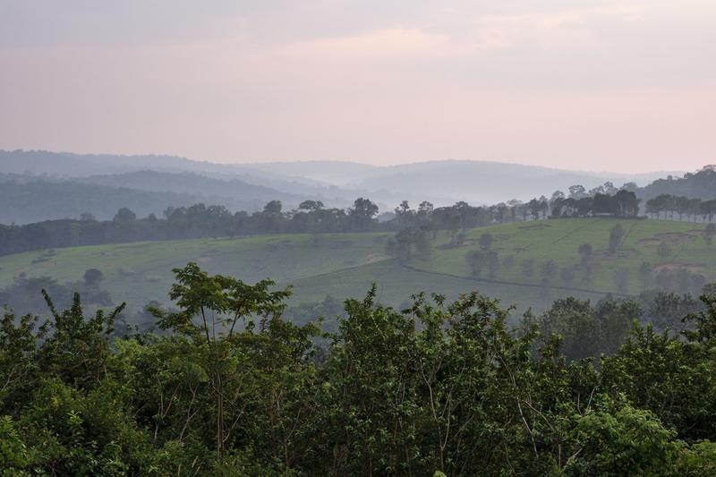 Landscape view from our grass-topped hut at Chimpanzee Lodge, Uganda