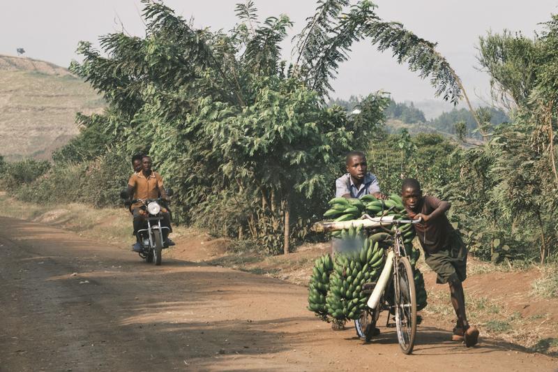 Two kids pushing a bicycle filled with bananas, Uganda