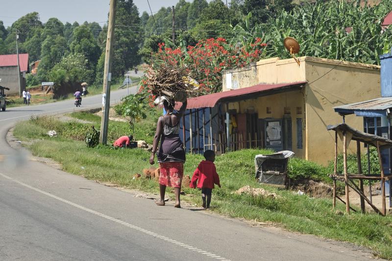 Mother walking with child and carrying a bunch of branches on their head, Uganda