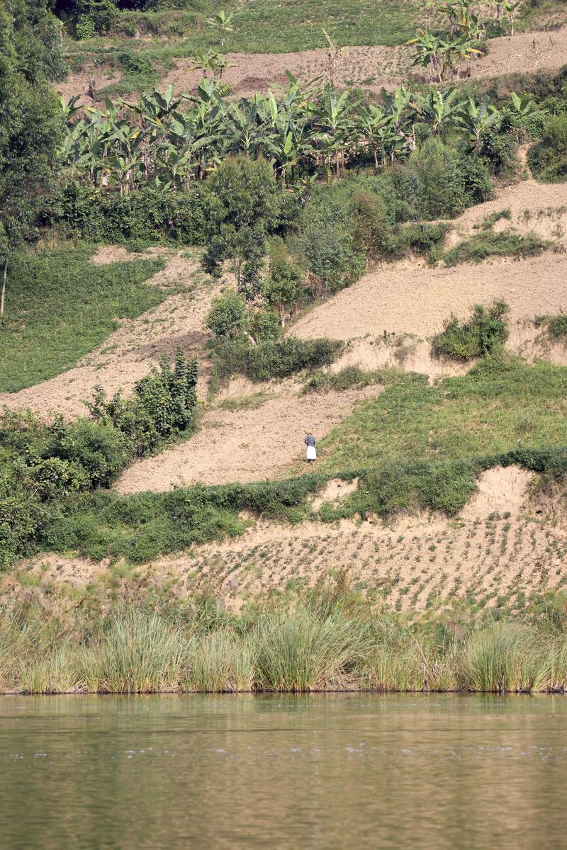 Farmer farming on Lake Bunyonyi, Uganda