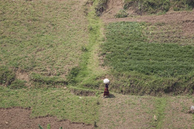 Person walking with a bundle on their head, Uganda