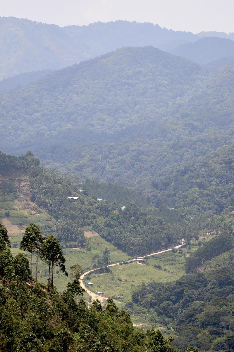 Rolling, layered hills landscape, Uganda