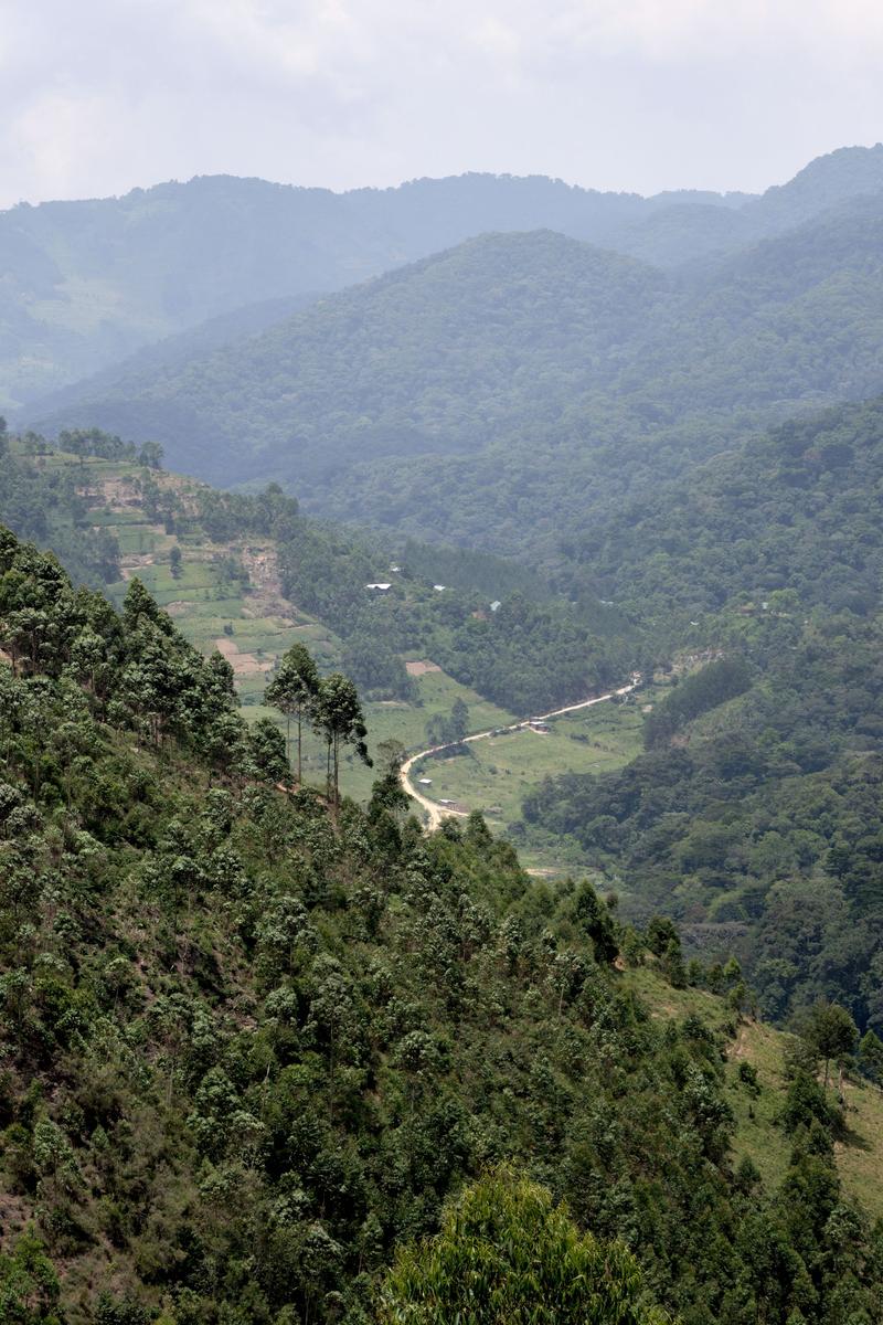 Rolling, layered hills landscape, Uganda