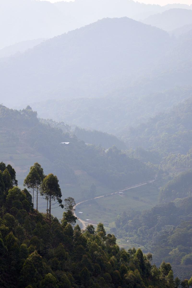 Rolling, layered hills landscape, Uganda