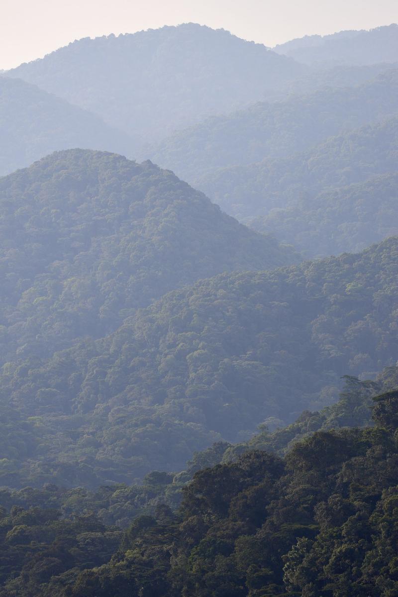 Rolling, layered hills landscape, Uganda