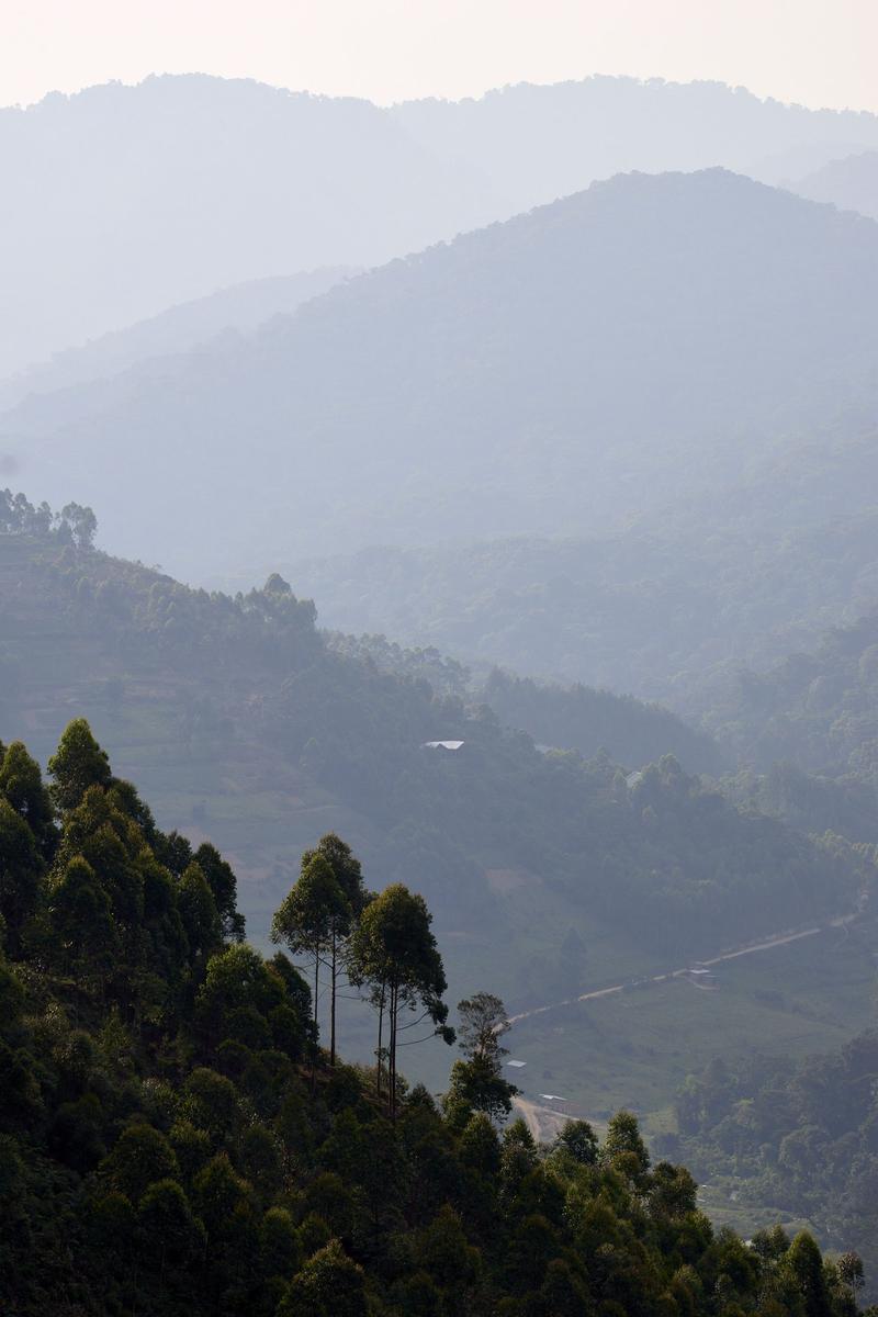 Rolling, layered hills landscape, Uganda